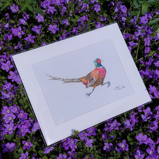 Pheasant Print
