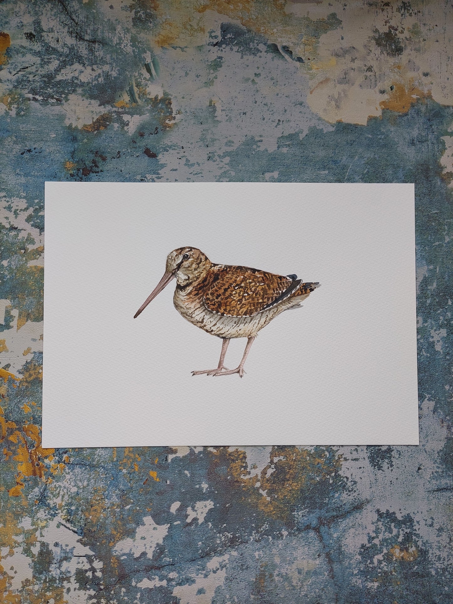 Woodcock A4 print