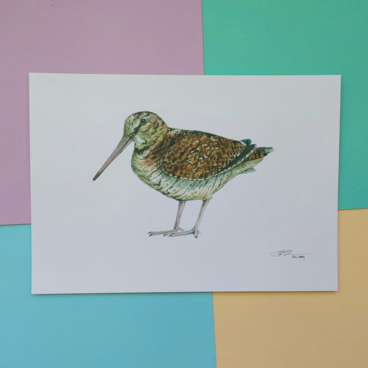 Woodcock A4 print