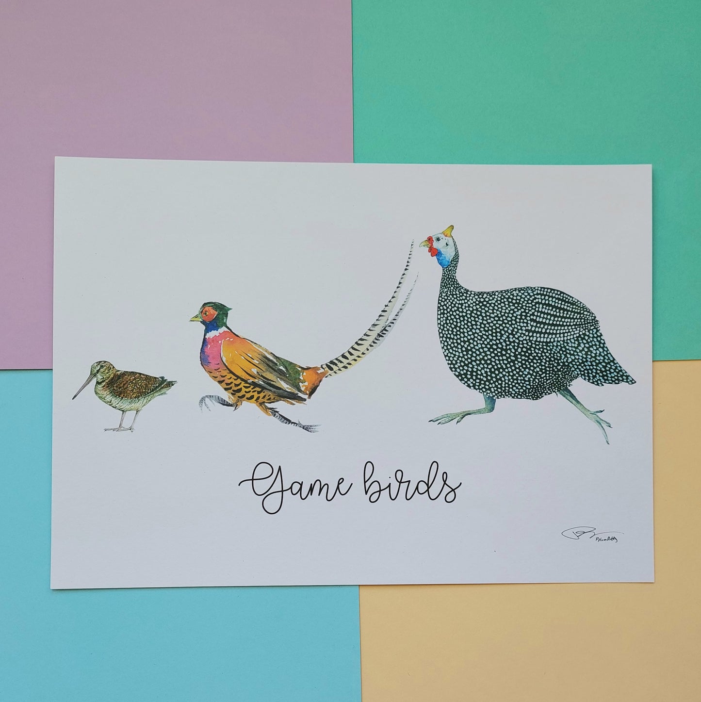 Game Birds 2