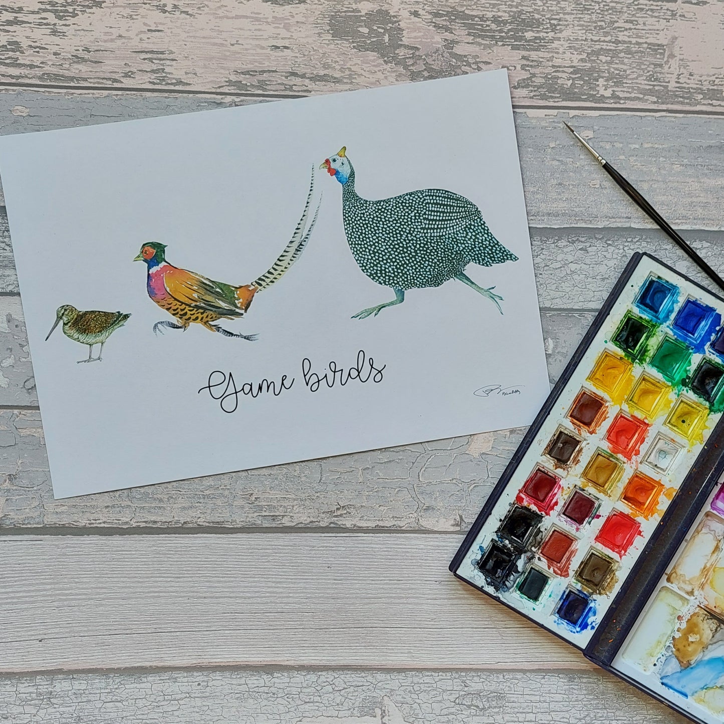 Game Birds 2