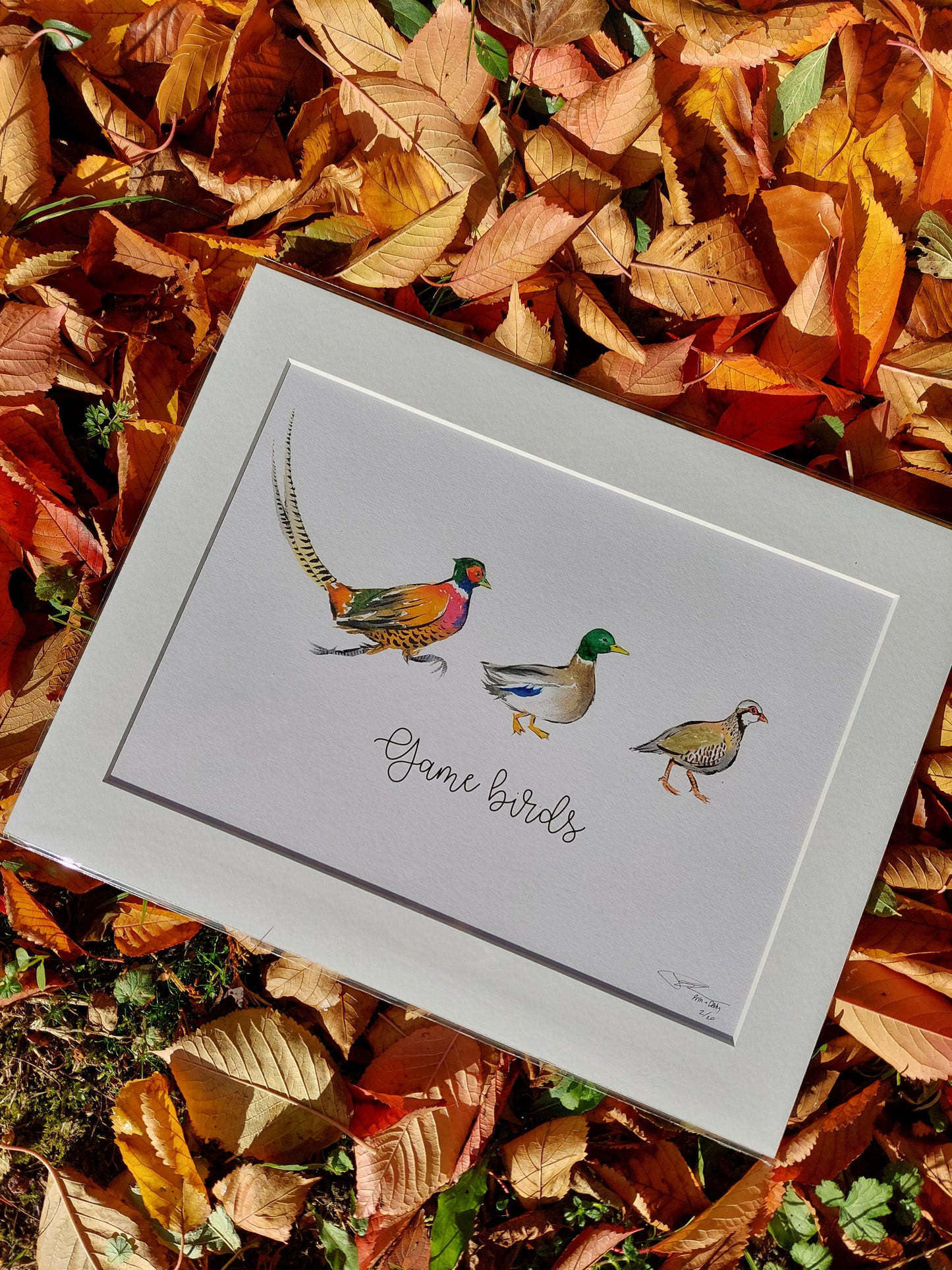 Game Birds