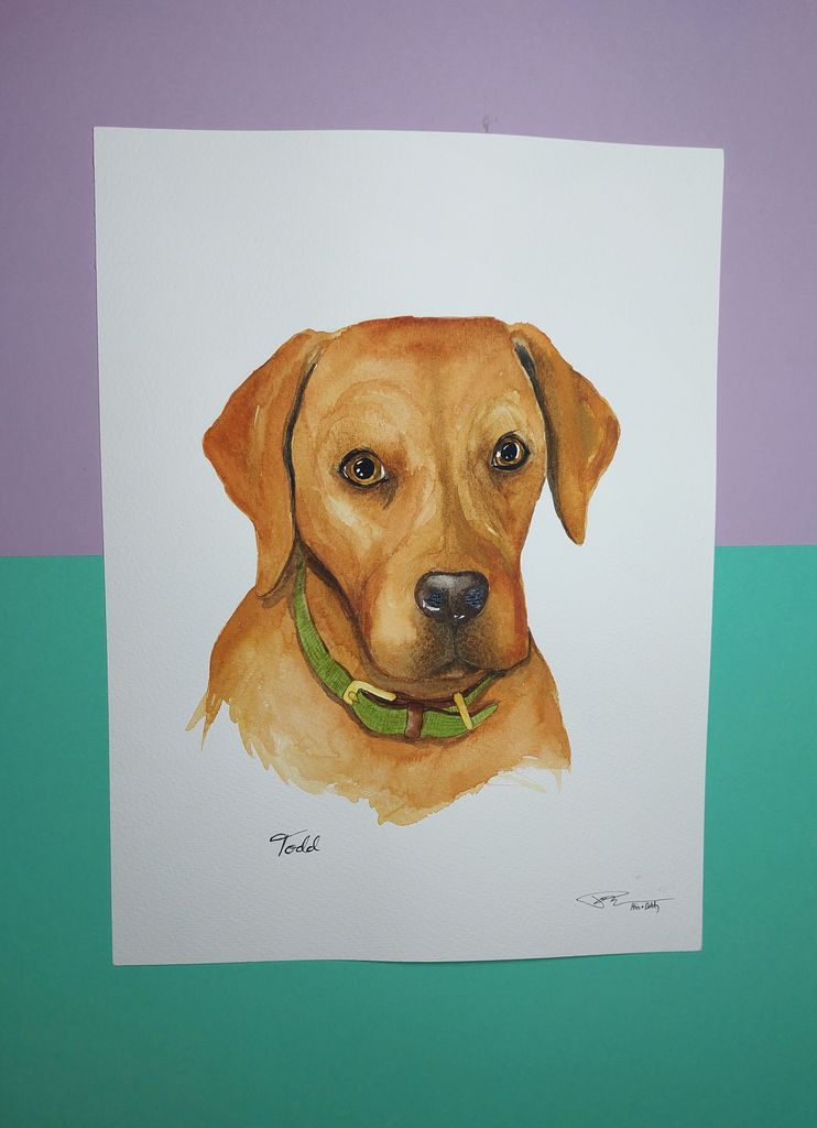 Pet Portrait LIMITED EDITION