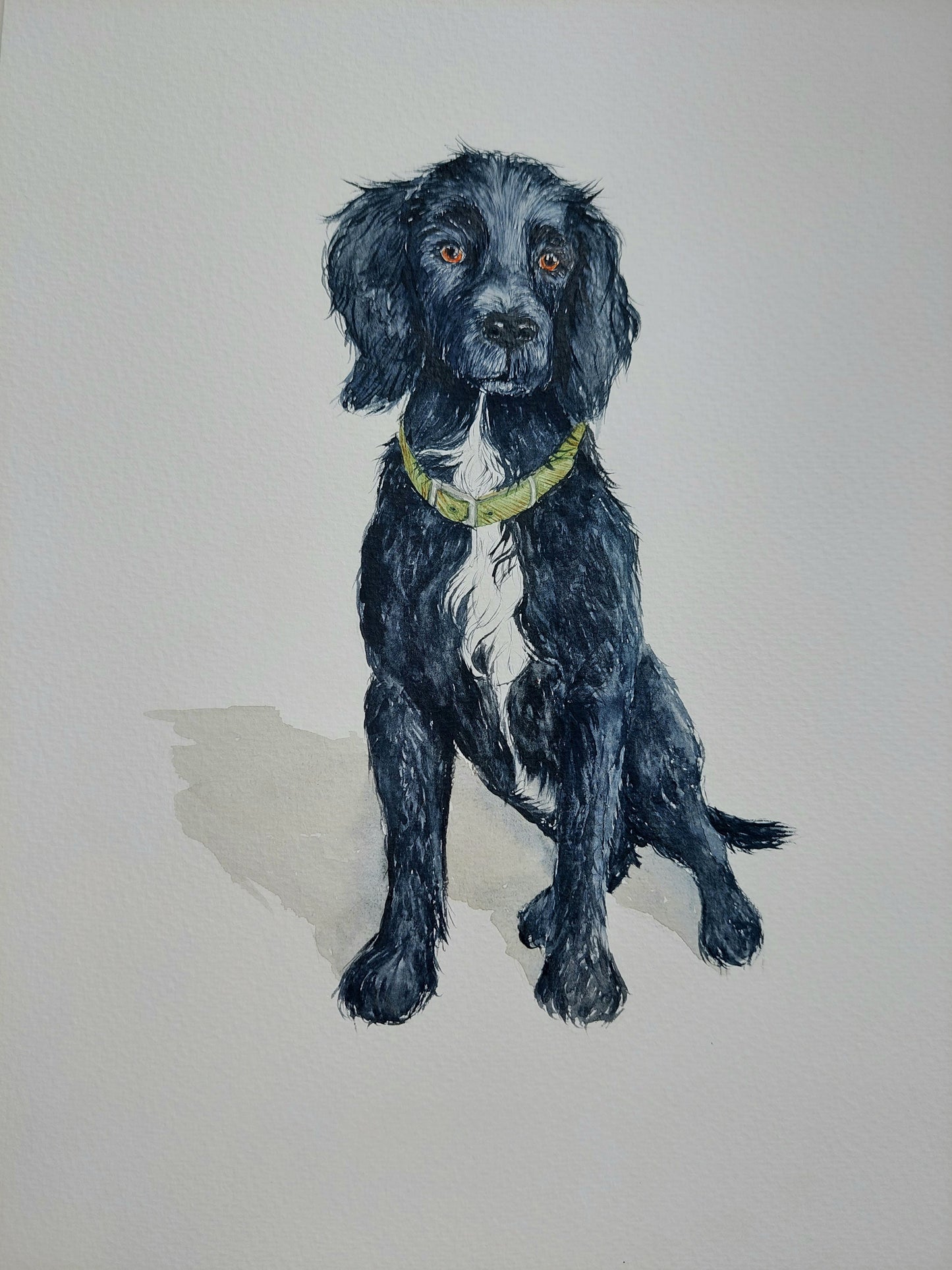 Pet Portrait LIMITED EDITION