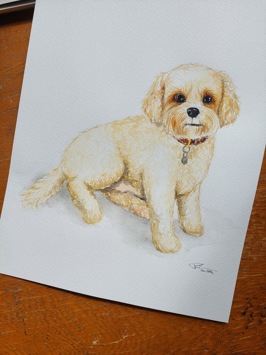 Pet Portrait LIMITED EDITION