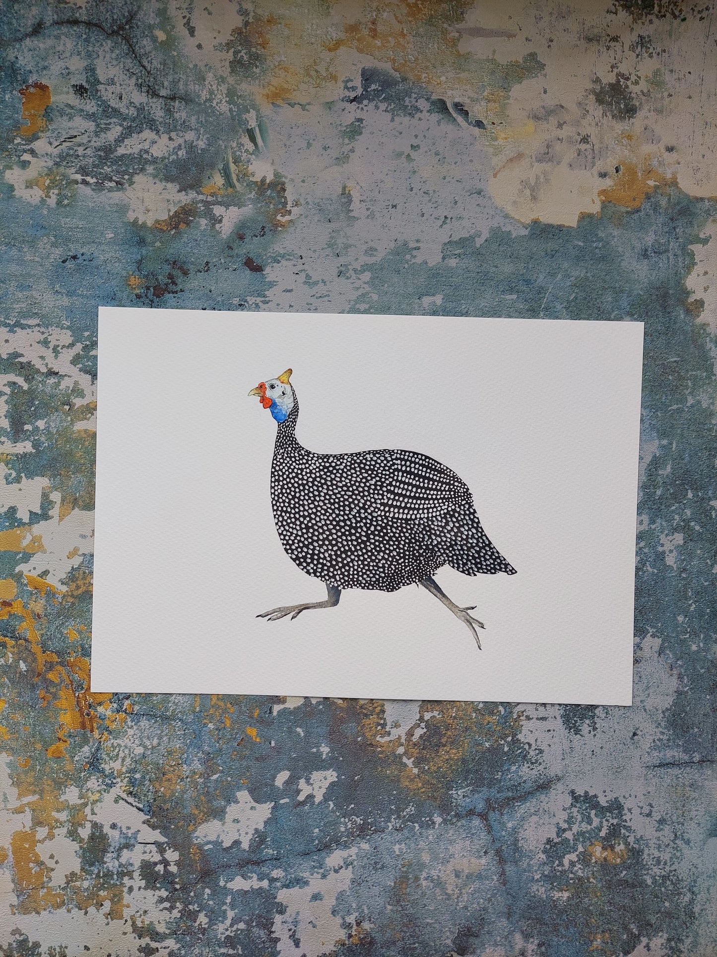 Guinea fowl print